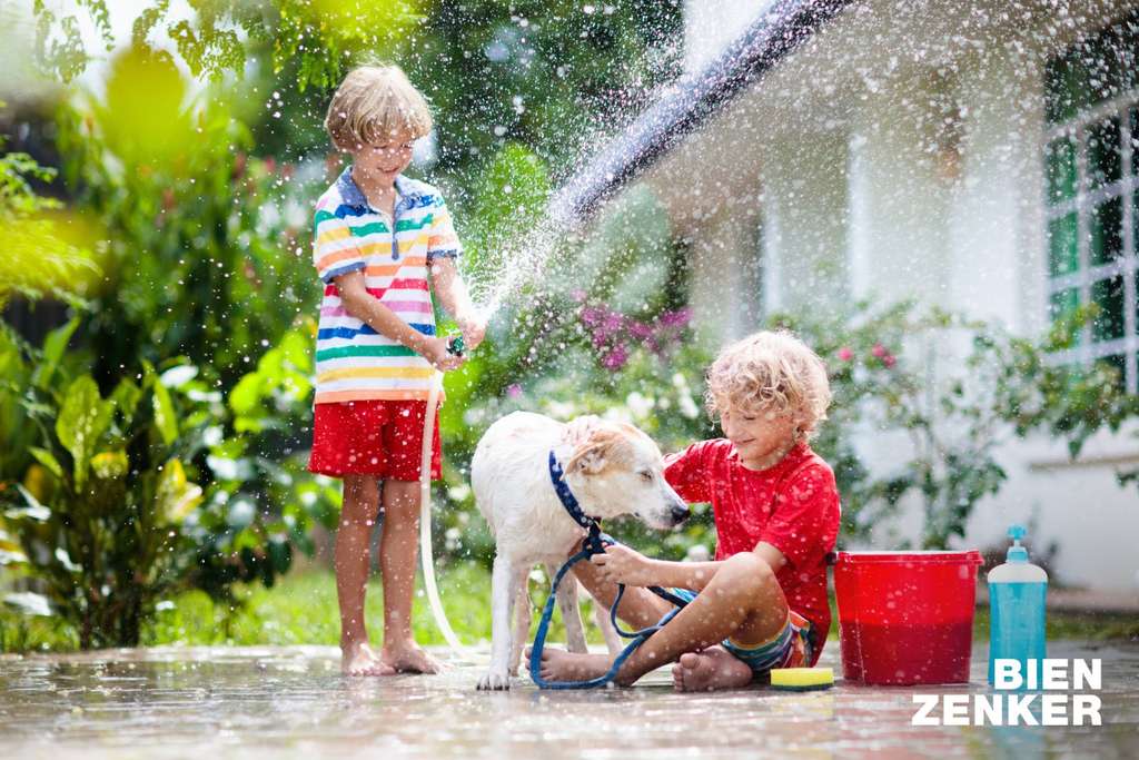 Immobilie in Denkingen - Bauen mit Bien-Zenker - Susanne Pavaletz - vollunterkellertes EFH - Bild 1