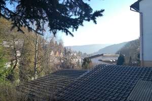 ***Kleines Wohnhaus in ruhiger Wohnlage in Heidelberg-Ziegelhausen/OT*** – Die vollständige Adresse der Immobilie erhältst du vom Anbieter., 69118 Ziegelhausen, Heidelberg – Vorschaubild 19