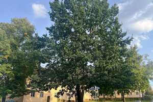 Property thumbnail 15