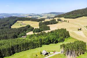 Rückzugsort im Schwarzwald: Charmantes Schwarzwaldhaus in Alleinlage mit 1.482 m² Naturgrundstück – Die vollständige Adresse der Immobilie erhältst du vom Anbieter., 79822 Titisee-Neustadt – Vorschaubild 24