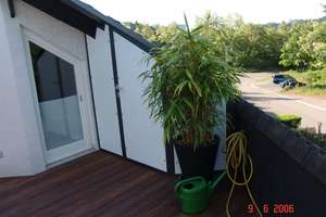 Keine Courtage! Luxuriöses Haus am Wald und doch in der Stadt- ruhige Toplage, vielseitig nutzbar – Die vollständige Adresse der Immobilie erhältst du vom Anbieter., 66123 St. Johann, Saarbrücken – Vorschaubild 6