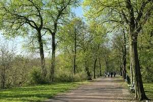 Property thumbnail 2