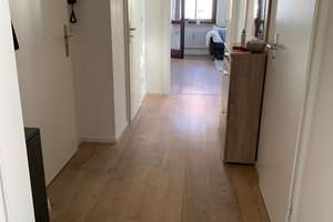 Zwischenvermietung: helle Wohnung im Grünen zwei Zimmer, Balkon & EBK in Maxvorstadt – Erzgiessereistrasse 20, 80335 St. Benno, München – Vorschaubild 7