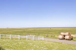 Einzigartig - Leben auf einer Nordsee Hallig!   Hooge! – Die vollständige Adresse der Immobilie erhältst du vom Anbieter., 25859 Hooge – Vorschaubild 14