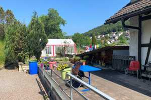Die besondere Immobilie -vielseitig nutzbar -direkt an der Schweizer Grenze für Pferdeliebhaber/Hand – Waldshut (Kreis) – Vorschaubild 6
