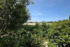 Ihre Ferienhaus-Perle an der Nordsee – Wittmund (Kreis) – Vorschaubild 5