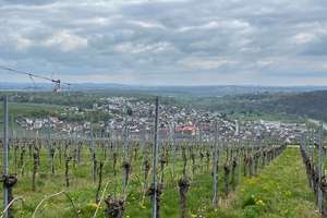 Wohnanlage für Sie zum Kauf - ideal als Mehrgenerationenhaus zur Selbstnutzung – Die vollständige Adresse der Immobilie erhältst du vom Anbieter., 74369 Löchgau – Vorschaubild 23