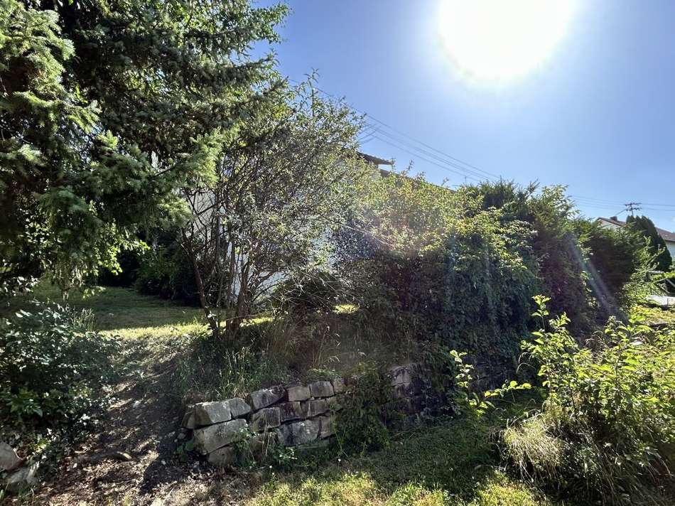 Gartenimpression 2 