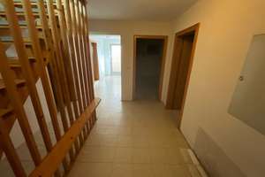 Bungalow - Wohnen auf einer Ebene in Ludwigshafen-Gartenstadt – 67067 Gartenstadt, Ludwigshafen am Rhein – Vorschaubild 14