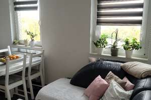 KAPITALANLAGE: Neuwertige, schicke 2-Zimmer-Wohnung mit Balkon und Stellplatz in ruhiger Lage – Die vollständige Adresse der Immobilie erhältst du vom Anbieter., 55127 Marienborn, Mainz – Vorschaubild 2