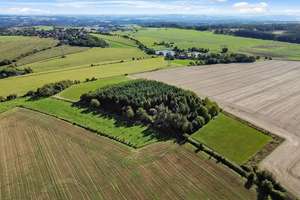 3,5 ha Land mit Jagdhütte -  in der Nähe der beiden Saaletalsperren (A1619)
 – Die vollständige Adresse der Immobilie erhältst du vom Anbieter., 7368 Remptendorf – Vorschaubild 13