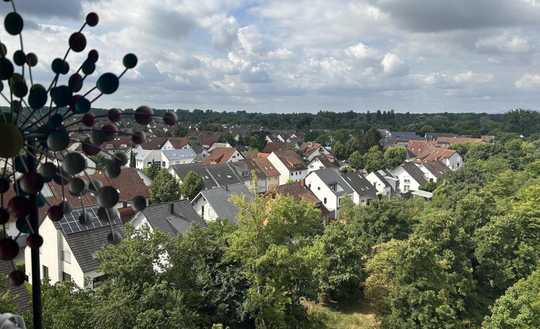 Genießen Sie die Aussicht im Niederfeld