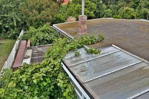 !!! Freistehendes EFH mit viel Wohnfläche u. Grundstück + Outdoorpool, sucht neuen Besitzer !!! – Saalekreis – Vorschaubild 63