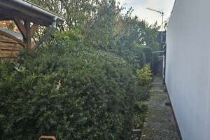 Atrium-Bungalow in Stuhr mit Traumgarten in Sackgassenendlage – Asternweg 10, 28816 Stuhr – Vorschaubild 4