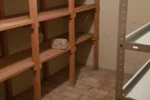 Platz für die Familie! – Tübingen (Kreis) – Vorschaubild 9