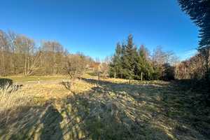 Ein- / Zweifamilienhaus mit großzügigen Nebengelass in Königshain! – Dorfstraße 126, 2829 Görlitz (Kreis) – Vorschaubild 2
