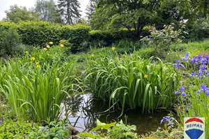 Property thumbnail 31