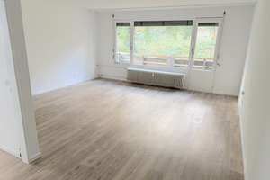 OHNE PROV. | Leerstehendes MFH mit 6 Einheiten und Ausbaureserve | teilsaniert | aufgeteilt nach WEG – Alemannenstr. 14, 79117 Littenweiler, Freiburg im Breisgau – Vorschaubild 3