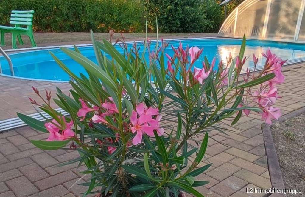 Immobilie in Lommatzsch - Romantischer Zwei-Seitenhof mit Pool, Scheune und großem Grundstück in traumhafter Idylle - Bild 0