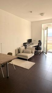 Alltagstaugliches 1-Zimmer-Apartment in Trier