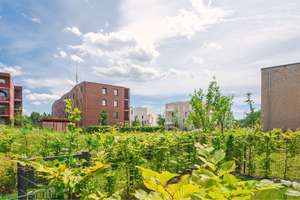 VERMIETETES KAPITALANLAGEOBJEKT: 2-Zi-Eigentumswohnung mit Balkon in Bothfeld | KfW-55, PV-Anlage – Buchfinkstieg 51, 30657 Bothfeld, Hannover – Vorschaubild 3