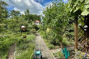 Die Familienlösung! – Dessau-Roßlau – Vorschaubild 11