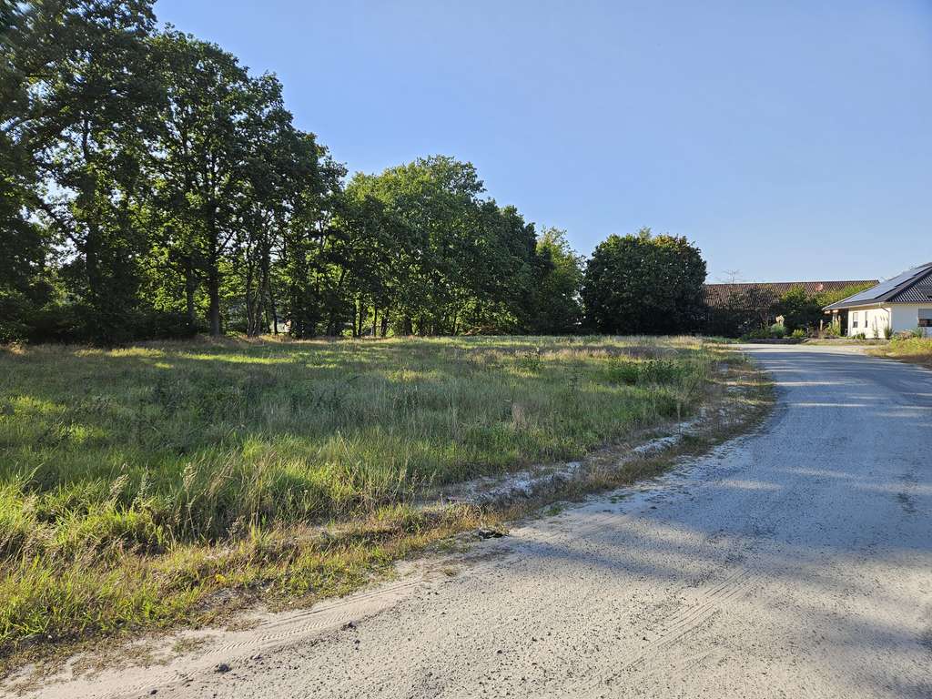 Immobilie in Hoyerhagen - Inkl. Grundstück, ein Komforthaus für jedermann in Hoyerhagen. - Bild 3