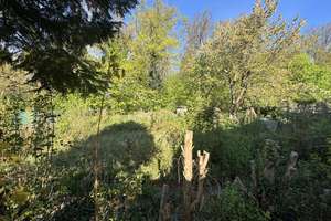 In begehrter Lage: Interessantes Haus mit zwei 4-Zi-Wohnungen, Glasfaser- & Fernwärmeanschluss – Die vollständige Adresse der Immobilie erhältst du vom Anbieter., 38448 Tiergartenbreite, Wolfsburg – Vorschaubild 3
