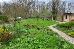 Einfamilienhaus mit Garten in Wellerswalde, drei Garagen – Nordsachsen (Kreis) – Vorschaubild 15