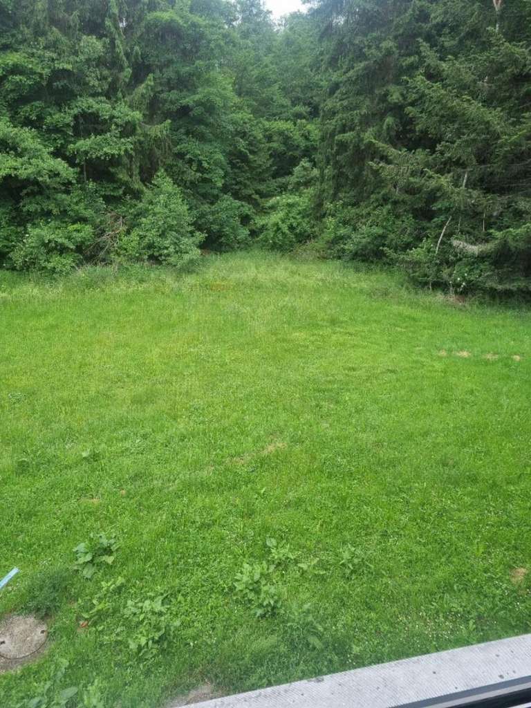 Immobilie in Leonberg - Einzigartiges Haus - viele Nutzungsmöglichkeiten - top Kapitalanlage - mitten in der Natur - Bild 3