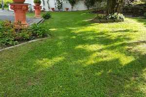 Landliebe mit Perspektive – Einliegerwohnung, großes Grundstück und faire Wohnrecht-Vereinbarung – Freyung-Grafenau (Kreis) – Vorschaubild 37