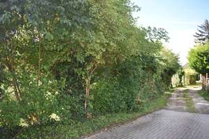 Ein echtes Juwel! Baureifes Land mit einer ansprechenden Bestandsimmobilie. – Die vollständige Adresse der Immobilie erhältst du vom Anbieter., 67071 Ruchheim, Ludwigshafen am Rhein – Vorschaubild 30