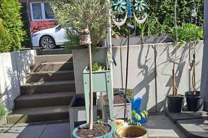 4-Zimmer helle Wohnung mit zauberhaftem Garten und vollausgestatteter Küche in Essen-Frintrop – Frintroper Höhe 39, 45359 Frintrop, Essen – Vorschaubild 55