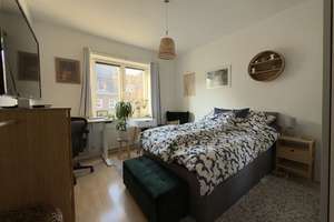 Schicke Wohnung in Golzheim! Mit Küche! Jetzt anschauen! – Die vollständige Adresse der Immobilie erhältst du vom Anbieter., 40476 Golzheim, Düsseldorf – Vorschaubild 4