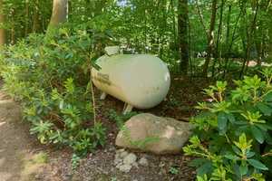 Wochenendhaus Lindhorster Heide - Kleinod im Wald auf Pachtgrundstück – Harburg (Kreis) – Vorschaubild 16