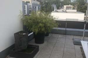 Stadthaus (außergewöhnliches Reihenhaus) mit großzügiger Dachterrasse (Baujahr 2013), von privat – Die vollständige Adresse der Immobilie erhältst du vom Anbieter., 55122 Hartenberg-Münchfeld, Mainz – Vorschaubild 6