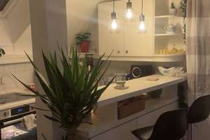 2 Zimmer Einliegerwohnung befristet zum 31.12. verläng. Möglich! – Die vollständige Adresse der Immobilie erhältst du vom Anbieter., 81479 Solln, München – Vorschaubild 3