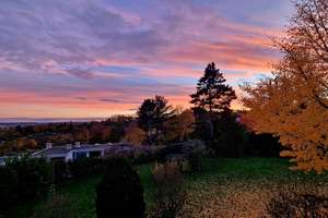 Exklusive Wohnimmobilie mit Panoramausblick - Wohnen in privilegierter Aussichtslage von Ulm – Die vollständige Adresse der Immobilie erhältst du vom Anbieter., 89075 Böfingen, Ulm – Vorschaubild 30