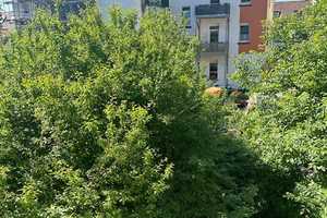  Erstbezug nach Kernsanierung – großzügige 3-Zimmer-Wohnung mit 2 Balkonen und Gartenmitbenutzung – Holunderstraße 13, 68199 Mannheim – Vorschaubild 8