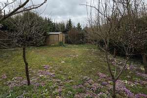 Freistehendes Haus in ruhiger Naturlage – ab sofort verfügbar – Die vollständige Adresse der Immobilie erhältst du vom Anbieter., 74248 Ellhofen – Vorschaubild 21