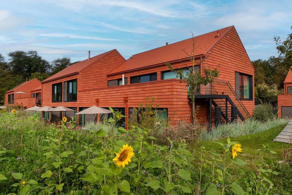 Immobilie in Hohwacht - Man wird Sie für dieses tolle Invest beneiden ( ca. 5,1 % Nettorendite) - Bild 4