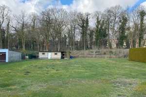 Ein Zuhause im Grünen innerhalb der Kleinstadt! – Mecklenburg-Strelitz (Kreis) – Vorschaubild 4