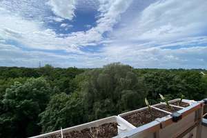 Praktisch geschnittene 3-Zimmer-möblierte Wohnung mit Süd Balkon in Hannover/ Ledeburg  – Hänselriede 3, 30419 Ledeburg, Hannover – Vorschaubild 14