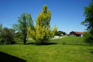 Nähe Wasserburg, ruhige Lage, großer Garten, für Familie mit Kindern ideal, Renovierung erforderlich – Rosenheim (Kreis) – Vorschaubild 9