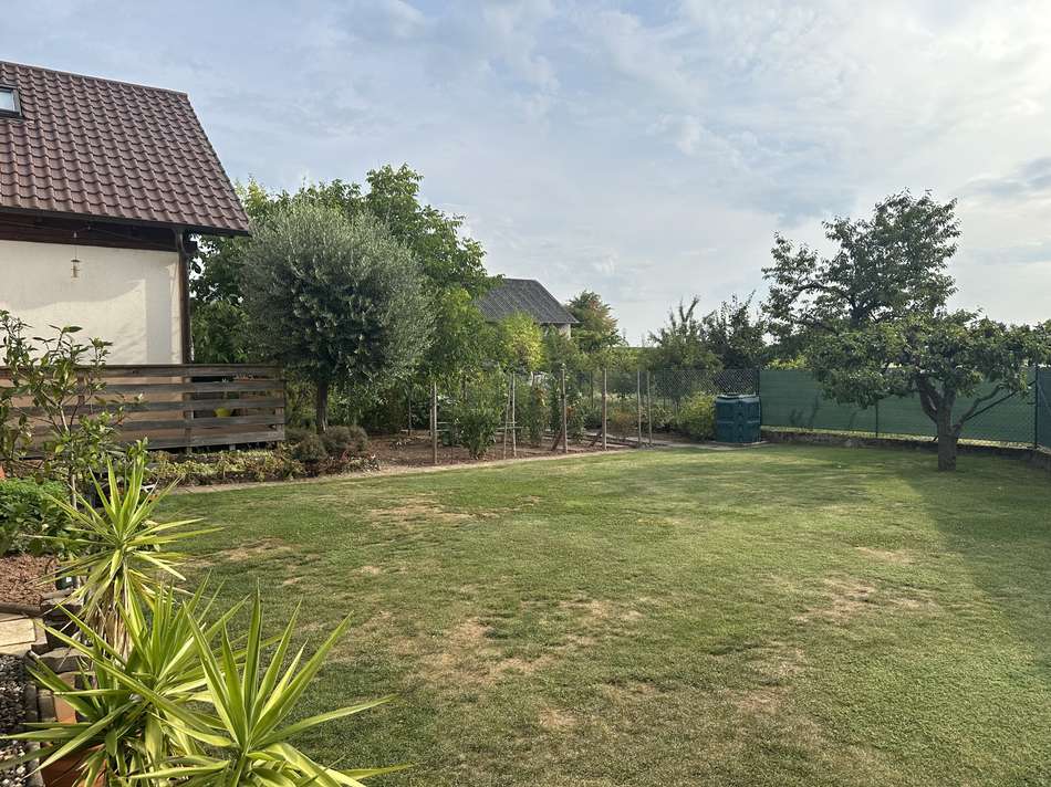 hinterer Garten