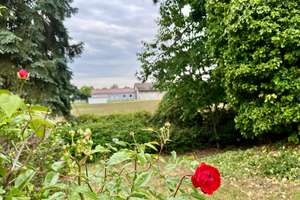 Endreihenhaus - Erstbezug nach Renovierung :) – Die vollständige Adresse der Immobilie erhältst du vom Anbieter., 69126 Rohrbach, Heidelberg – Vorschaubild 27