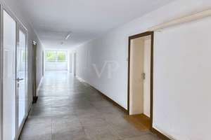Charmantes Erdgeschoss-Apartment mit Terrasse – attraktive Kapitalanlage – Die vollständige Adresse der Immobilie erhältst du vom Anbieter., 53119 Tannenbusch, Bonn – Vorschaubild 4