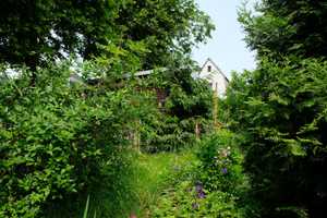 Charmantes Einfamilienhaus in Naturidylle (ohne  Makler-Provision!)  – Saalfeld-Rudolstadt (Kreis) – Vorschaubild 8