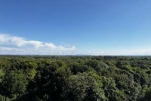 Property thumbnail 26