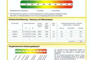 Schöne attraktive 3 Zi-Wohnung mit sep. Küche, Duschbad im  ruhigen Mühlwegviertel – 6114 Nördliche Innenstadt, Halle (Saale) – Vorschaubild 8
